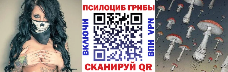 Псилоцибиновые грибы Cubensis  сайты даркнета состав  Орлов 